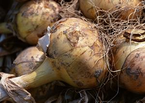 銀座のキャバクラ徹底攻略2026：選び方と楽しみ方を完全ガイド